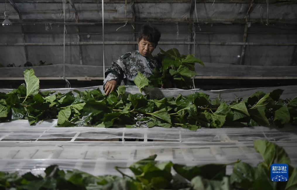赢钱游戏能提现到微信